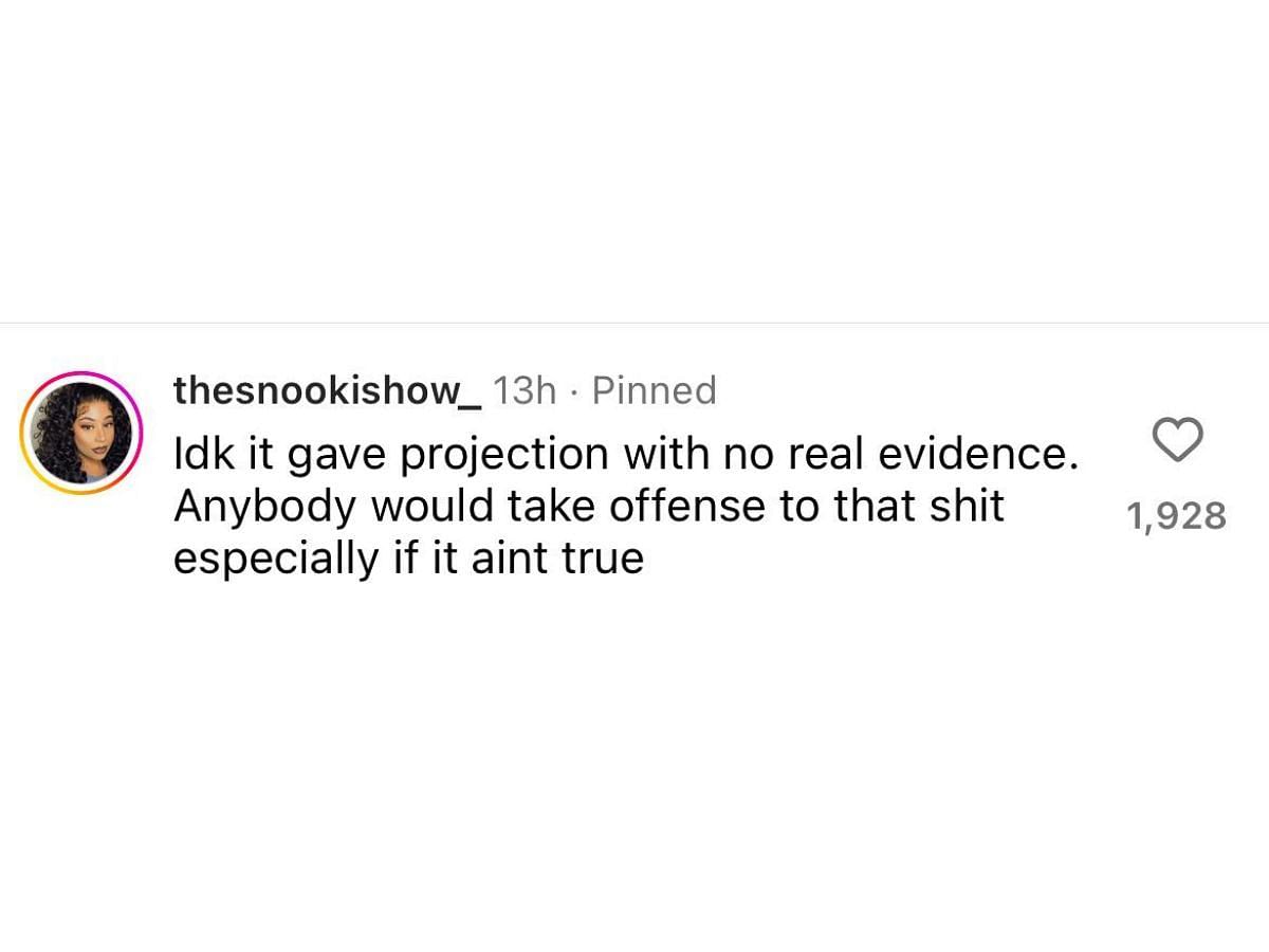 Another user disagrees with Ford (image via @thesnookishow_ on Instagram)